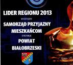 Lider Regionu 2013