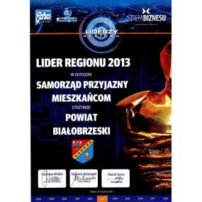 Lider Regionu 2013